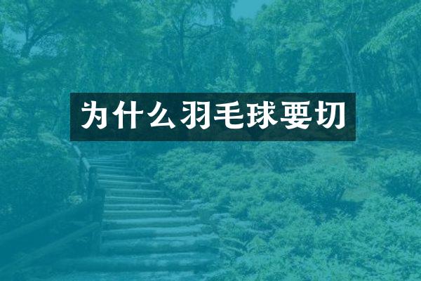 为什么羽毛球要切