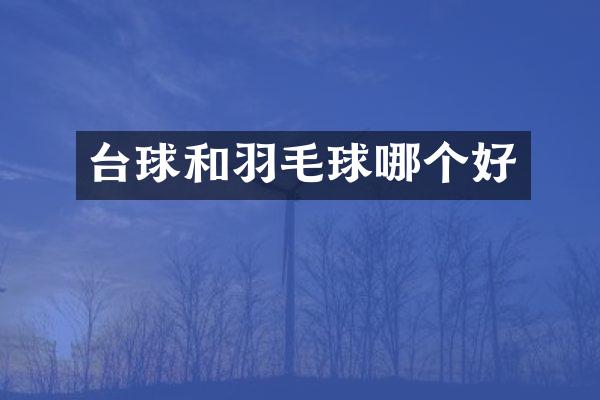 台球和羽毛球哪个好