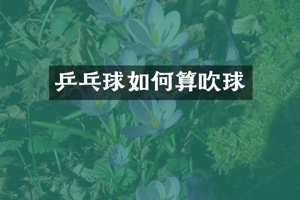 乒乓球如何算吹球