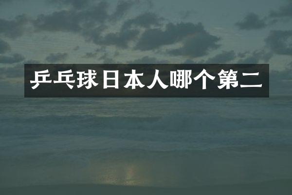 乒乓球日本人哪个第二