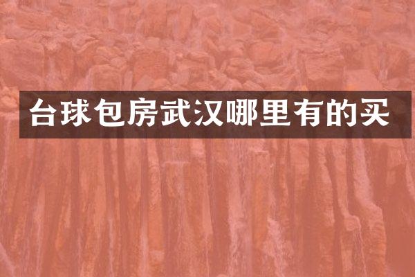 台球包房武汉哪里有的买