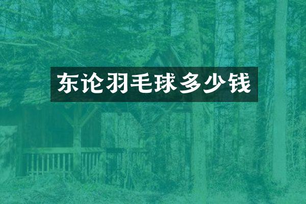 东论羽毛球多少钱