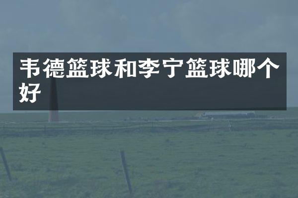 韦德篮球和李宁篮球哪个好