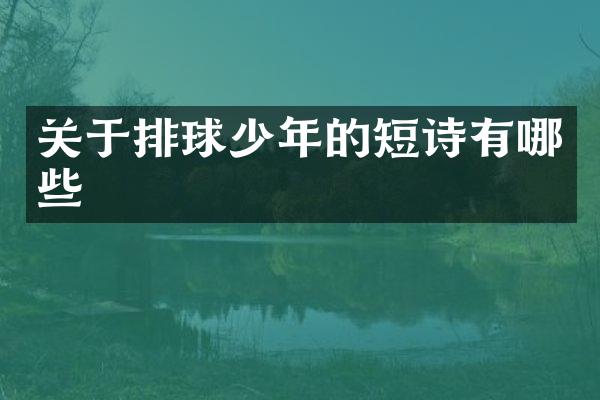 关于排球少年的短诗有哪些