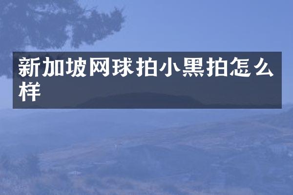 新加坡网球拍小黑拍怎么样