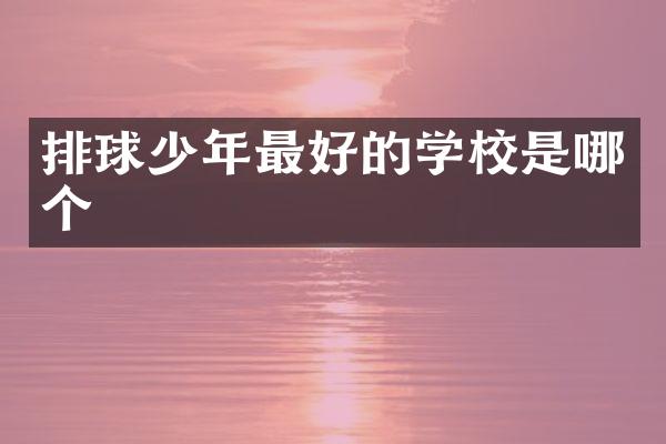 排球少年最好的学校是哪个