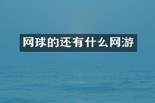 网球的还有什么网游