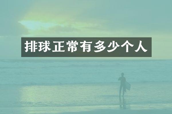 排球正常有多少个人
