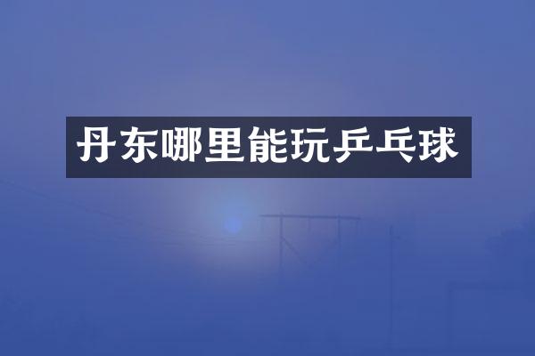 丹东哪里能玩乒乓球