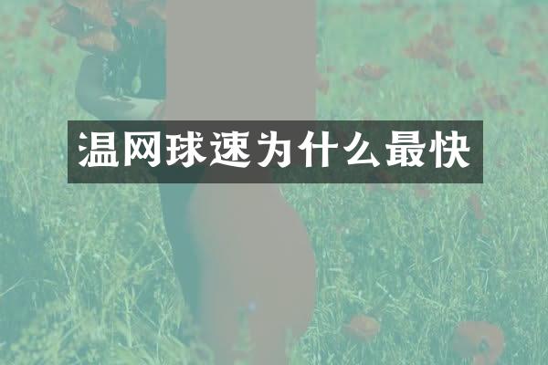 温网球速为什么最快