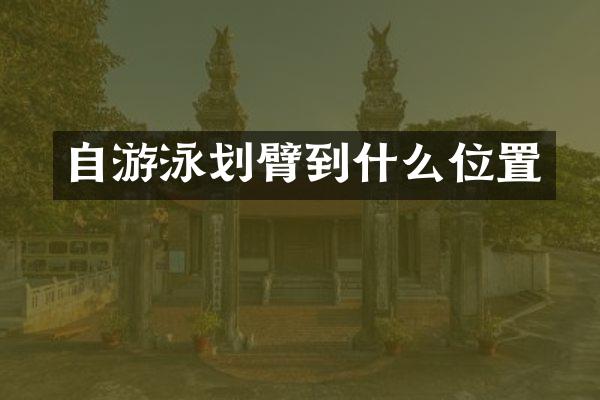 自游泳划臂到什么位置