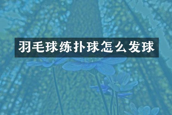 羽毛球练扑球怎么发球
