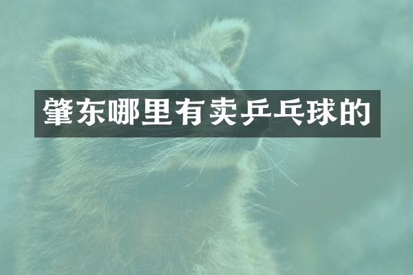 肇东哪里有卖乒乓球的