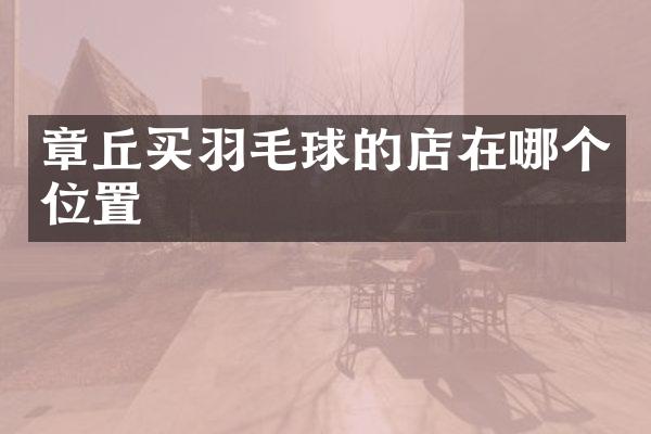 章丘买羽毛球的店在哪个位置
