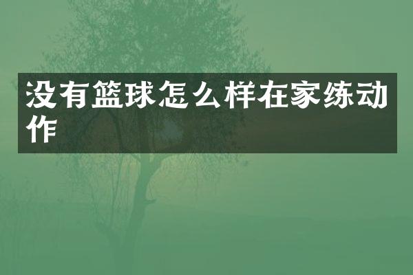 没有篮球怎么样在家练动作