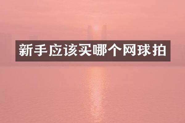 新手应该买哪个网球拍