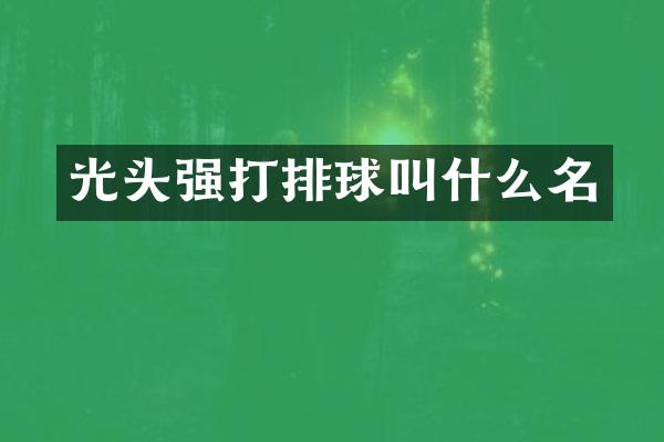 光头强打排球叫什么名