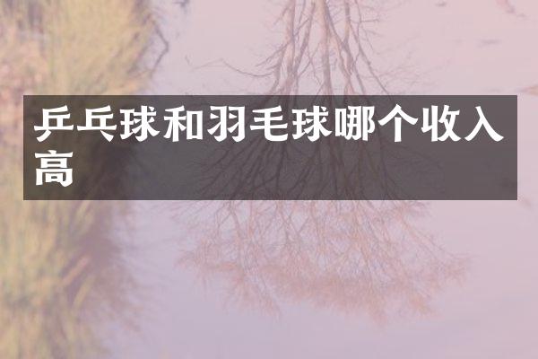 乒乓球和羽毛球哪个收入高