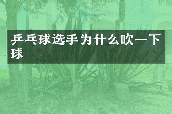 乒乓球选手为什么吹一下球