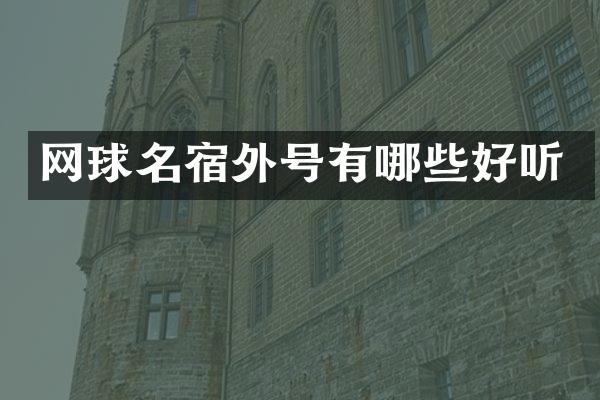 网球名宿外号有哪些好听