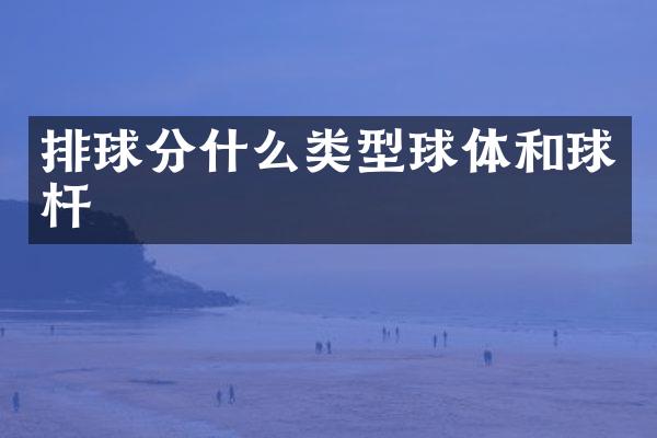 排球分什么类型球体和球杆