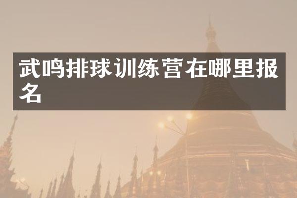 武鸣排球训练营在哪里报名