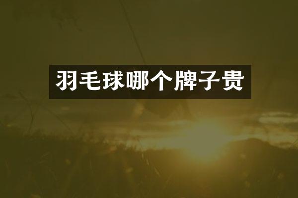 羽毛球哪个牌子贵