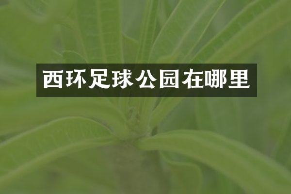 西环足球公园在哪里