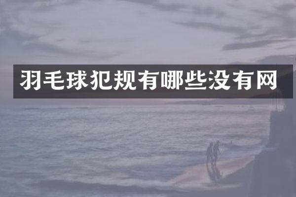 羽毛球犯规有哪些没有网