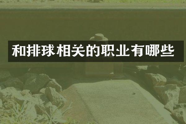 和排球相关的职业有哪些