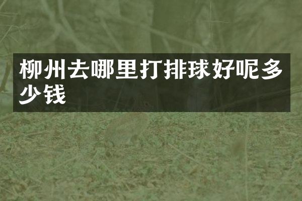柳州去哪里打排球好呢多少钱