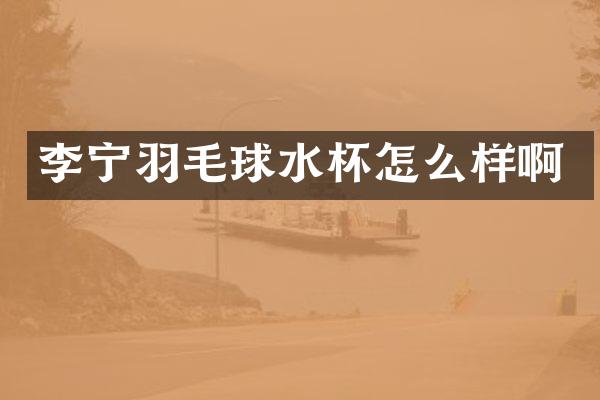 李宁羽毛球水杯怎么样啊