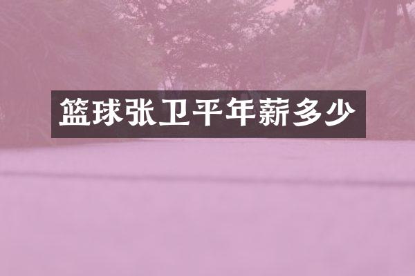 篮球张卫平年薪多少
