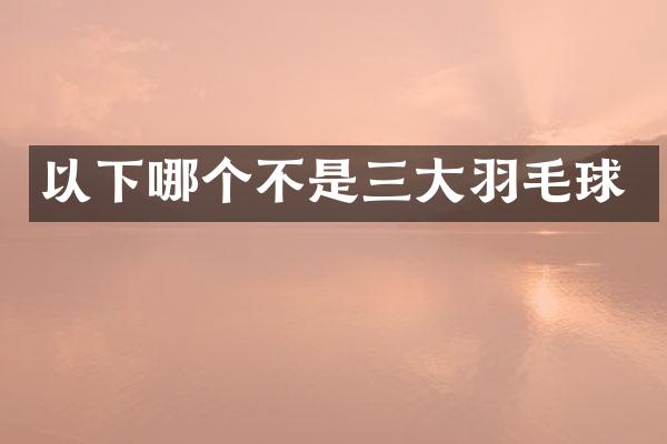 以下哪个不是三大羽毛球