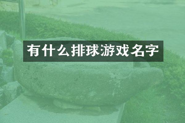 有什么排球游戏名字