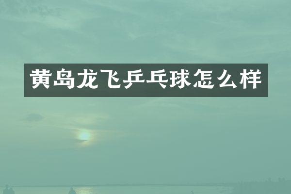 黄岛龙飞乒乓球怎么样