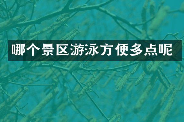 哪个景区游泳方便多点呢