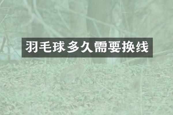 羽毛球多久需要换线