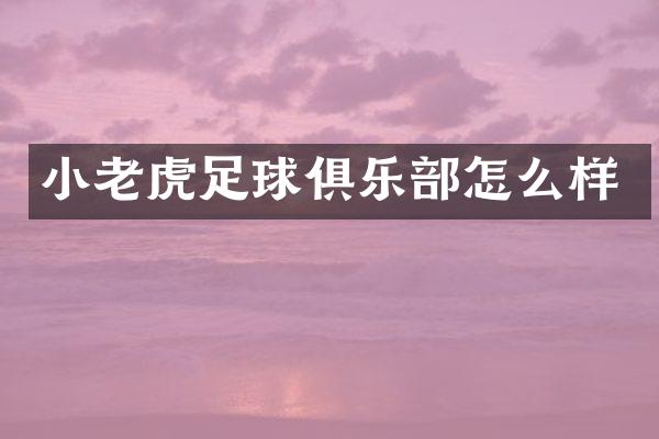 小老虎足球俱乐部怎么样