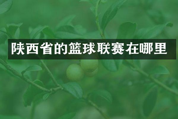 陕西省的篮球联赛在哪里