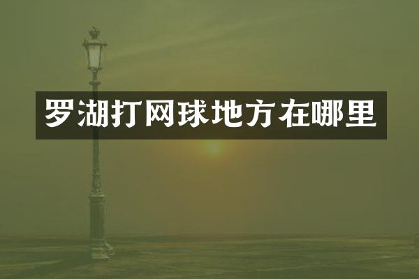 罗湖打网球地方在哪里