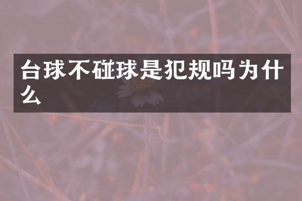 台球不碰球是犯规吗为什么