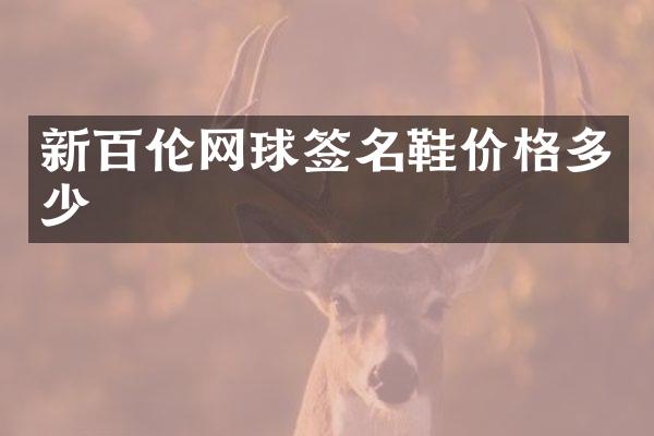 新百伦网球签名鞋价格多少