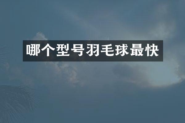 哪个型号羽毛球最快