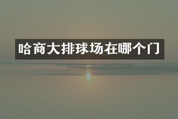 哈商大排球场在哪个门