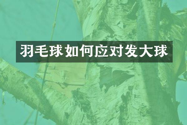 羽毛球如何应对发大球