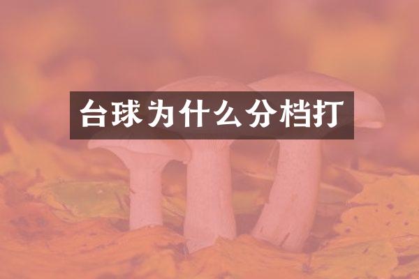 台球为什么分档打