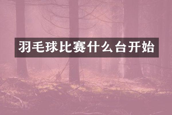 羽毛球比赛什么台开始