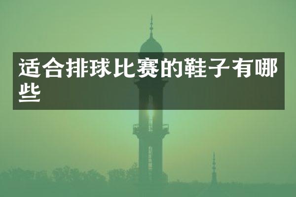 适合排球比赛的鞋子有哪些