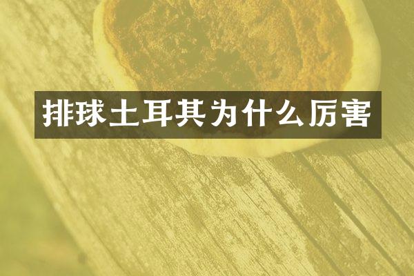 排球土耳其为什么厉害